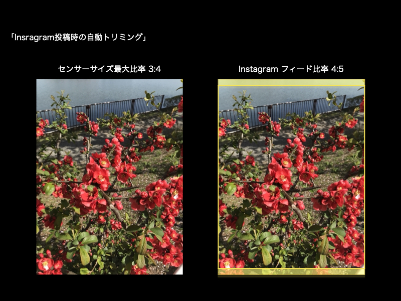 インスタグラム投稿時の自動トリミング