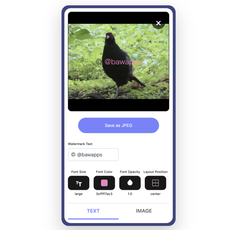 Released: “WaterStamp-Web” — a free online tool to add watermarks to photos